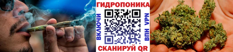 это какой сайт  hydra как войти  Бошки марихуана SATIVA & INDICA  Рыбное  наркотики 
